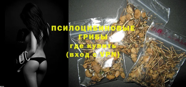 ГАЛЛЮЦИНОГЕННЫЕ ГРИБЫ Алексеевка